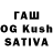Галлюциногенные грибы GOLDEN TEACHER Katarzyna Okraska