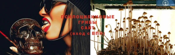гидропоника Бронницы