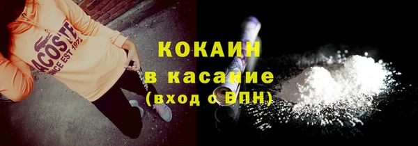 мдпв Бородино