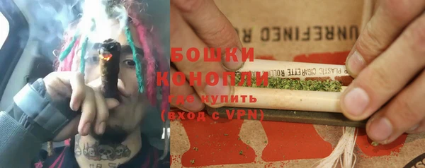 мдпв Бородино