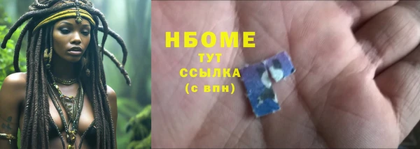 мдпв Бородино