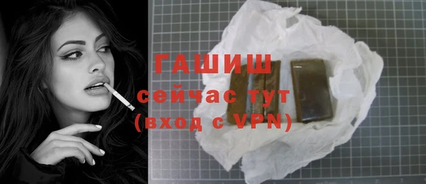 мдпв Бородино