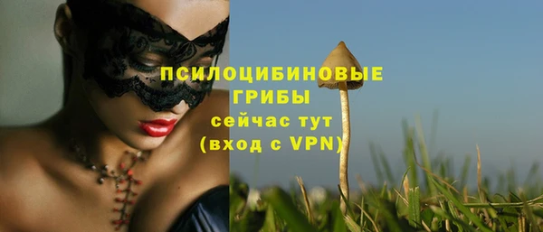 a pvp Бугульма