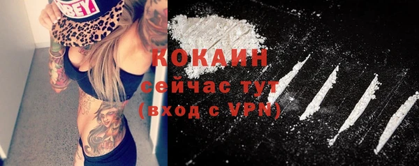 прущий лед Богданович