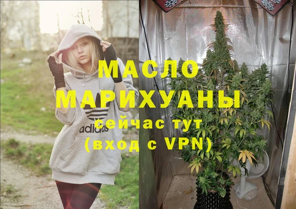 мдпв Бородино