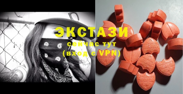 мдпв Бородино
