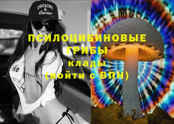 мдпв Бородино