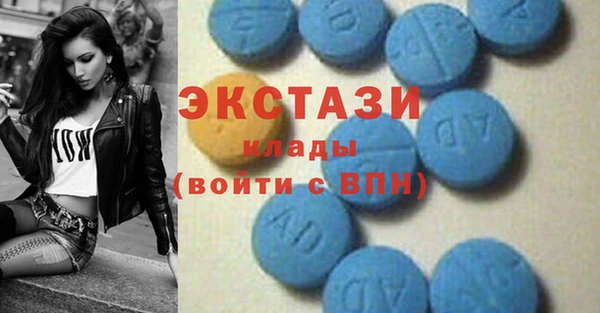 мдпв Бородино
