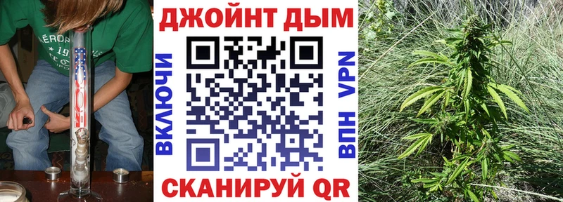 Шишки марихуана марихуана  Абакан 